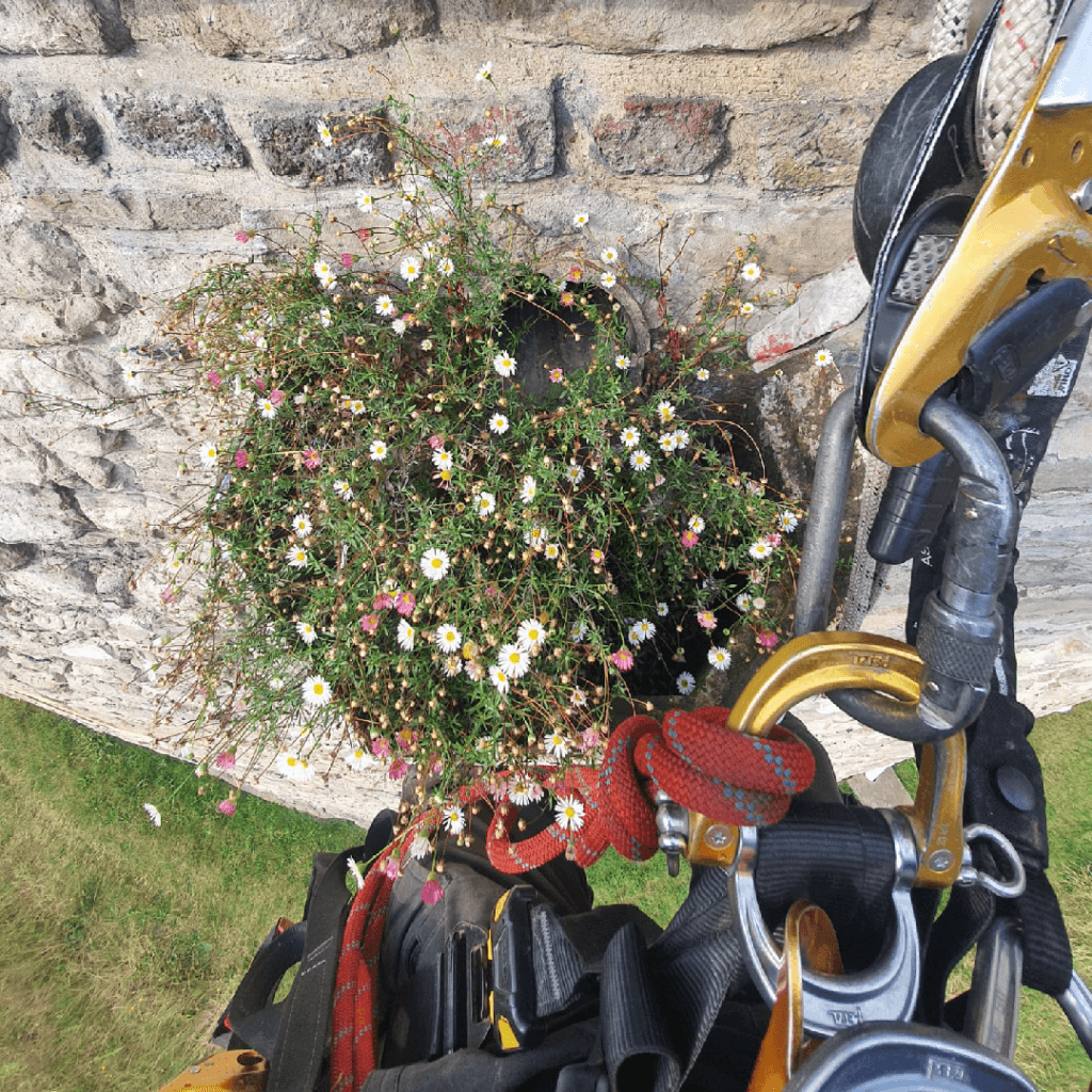 clogged gutter without maintenance, before our gutter cleaning services